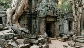 Embrace the vibrant energy of Angkor’s cultural heritage